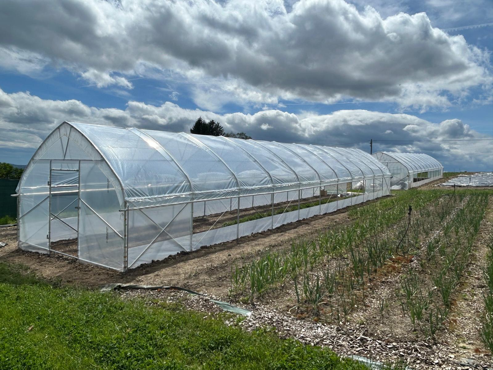 ARX 40 plastenik širine 4 m